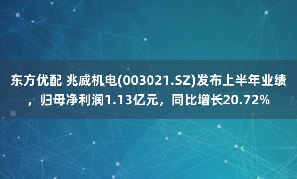 东方优配 兆威机电(003021.SZ)发布上半年业绩，归母净利润1.13亿元，同比增长20.72%